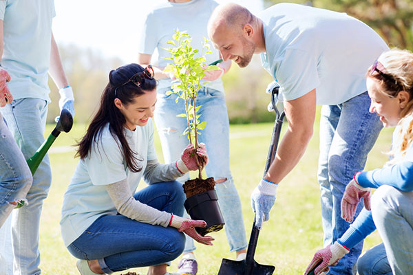 Volunteers outside planting a tree